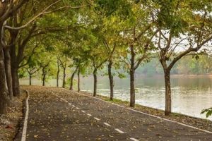 Tourist attractions in Binh Duong