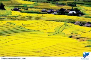 Tourist attractions in Lai Chau