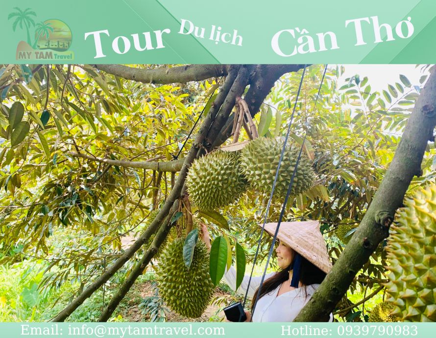 Tour Cần Thơ 4 Ngày 3 Đêm Từ TPHCM: Trải Nghiệm Trọn Vẹn Miền Tây Sông Nước