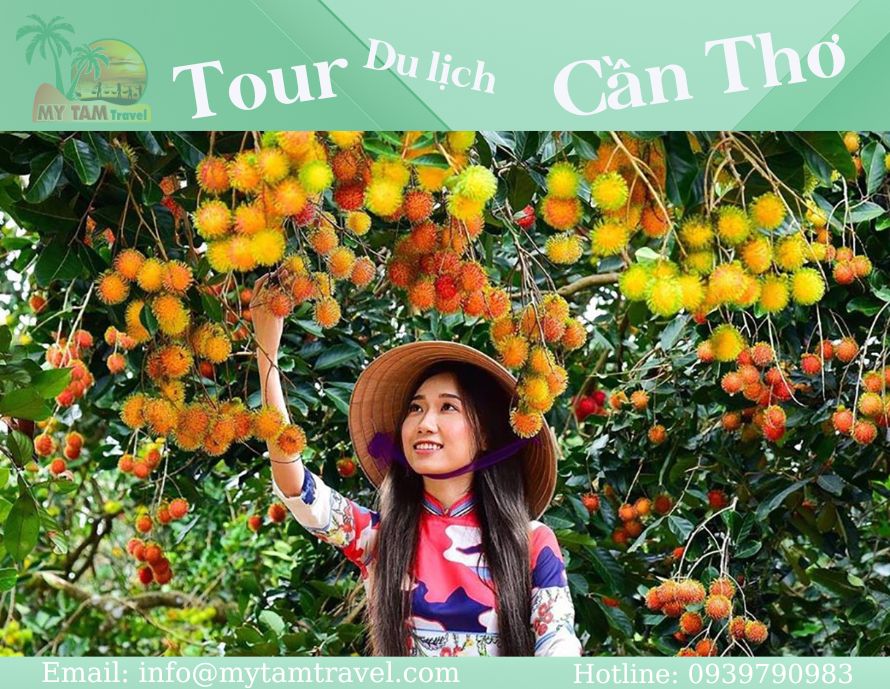 Tour Cần Thơ 4 Ngày 3 Đêm Từ TPHCM: Trải Nghiệm Trọn Vẹn Miền Tây Sông Nước