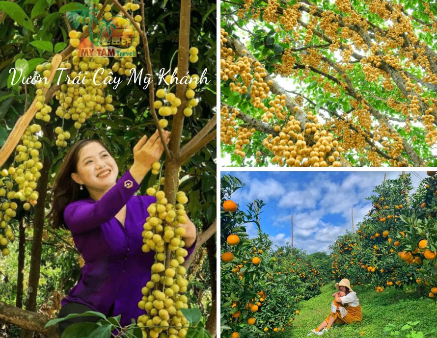 Vườn Trái Cây Mỹ Khánh