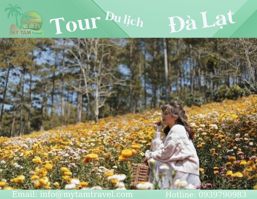 Cánh Đồng Hoa Bất Tử Đà Lạt