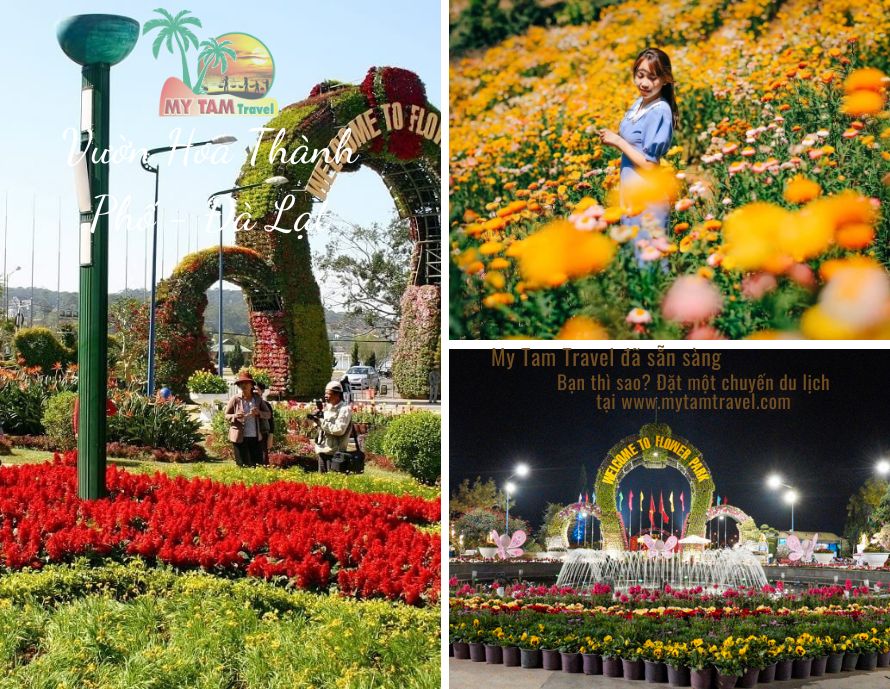 VƯỜN HOA THÀNH PHỐ - ĐÀ LẠT