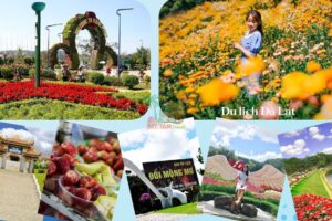 Tour Samten Hills Đà Lạt – 1 Ngày Khám Phá Chùa Đà Lạt
