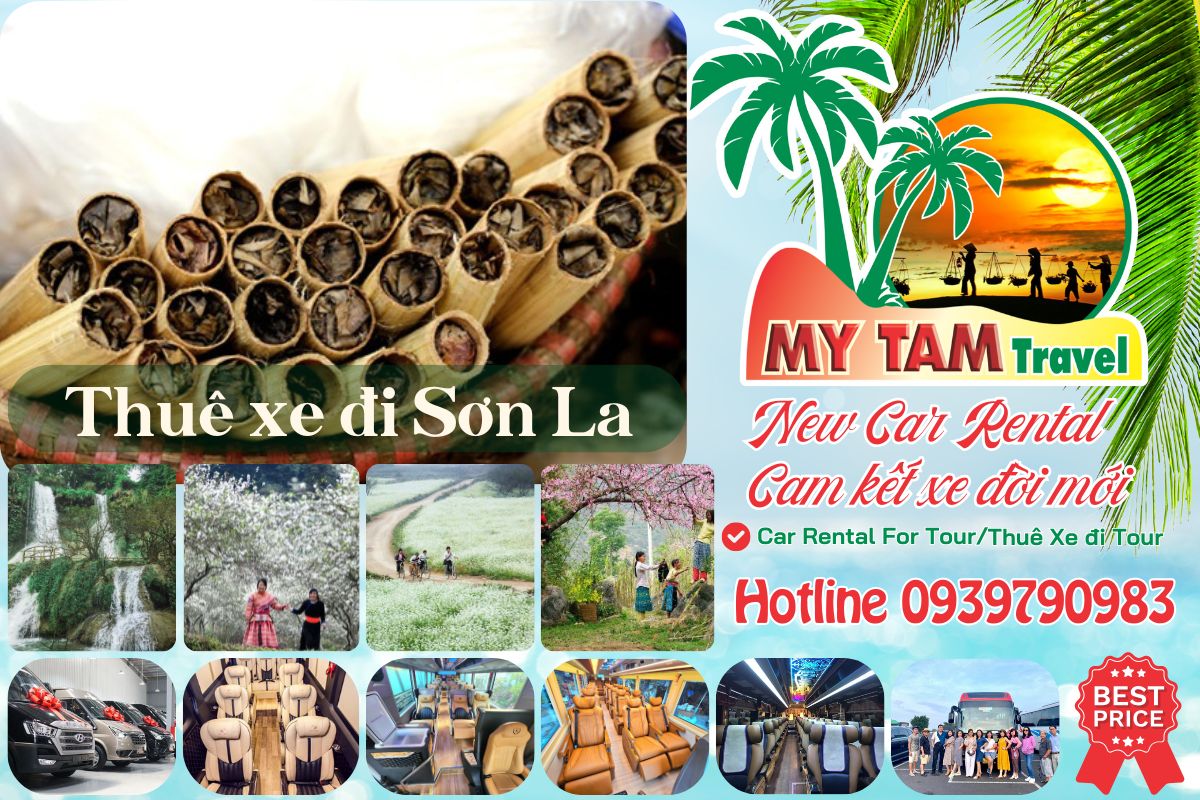 Thuê xe đi Sơn La 4-7-16-29-35-45c Limousine 9-11-15-18-28c