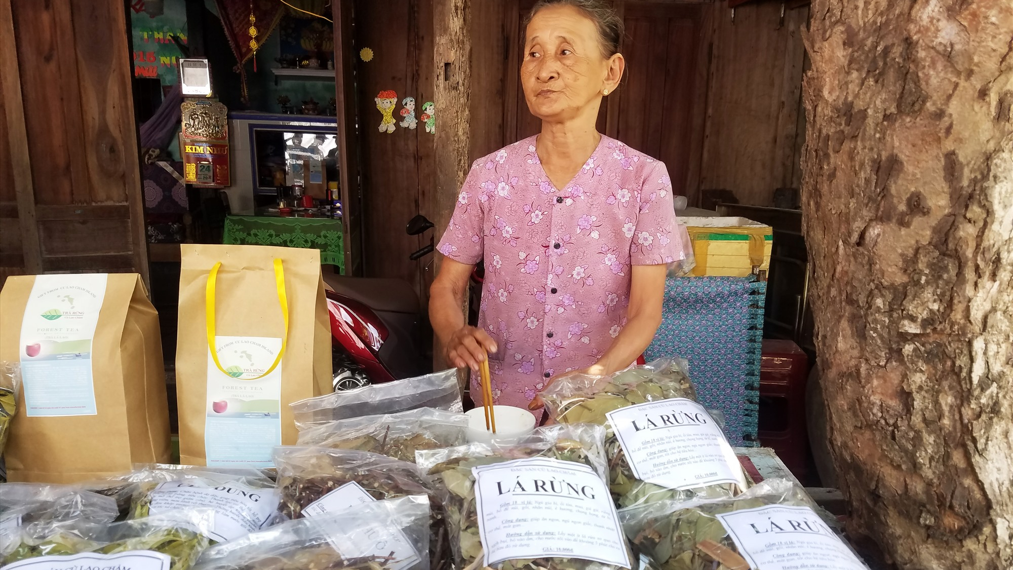 Đà Nẵng – Huế – Phong Nha Hoặc Thiên Đường