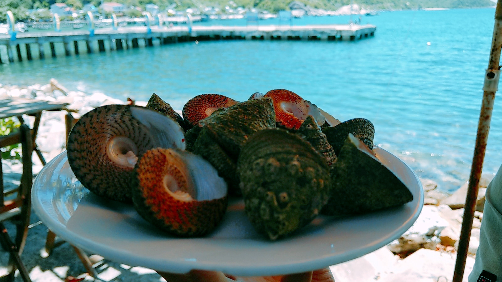 Đà Nẵng – Huế – Phong Nha Hoặc Thiên Đường