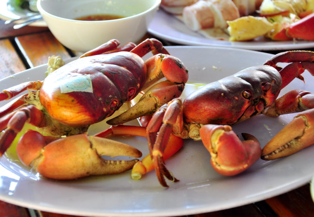 Đà Nẵng – Huế – Phong Nha Hoặc Thiên Đường