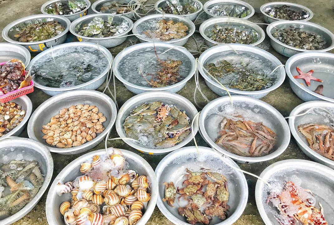 Ngũ Hành Sơn – Hội An – Bà Nà – Huế