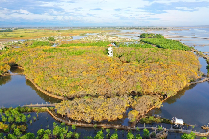 Ngũ Hành Sơn – Hội An – Bà Nà – Huế