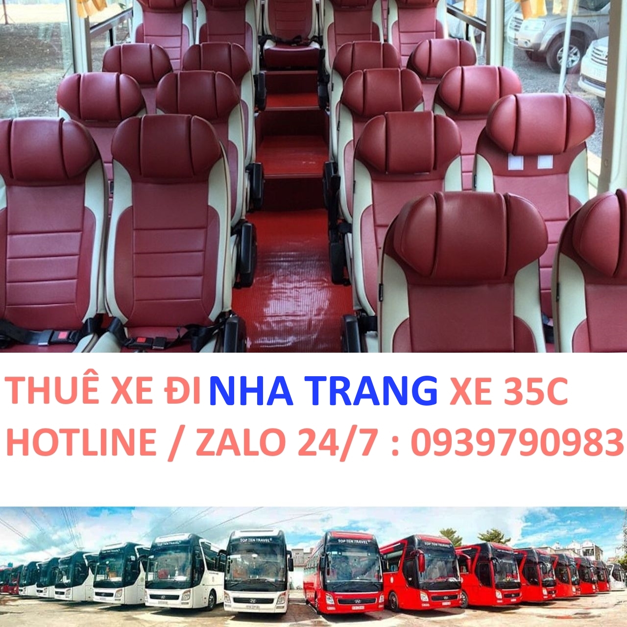 Thuê Xe Đi Nha Trang – Giá Rẻ, An Toàn, Nhiều Loại Xe [Mới Nhất]