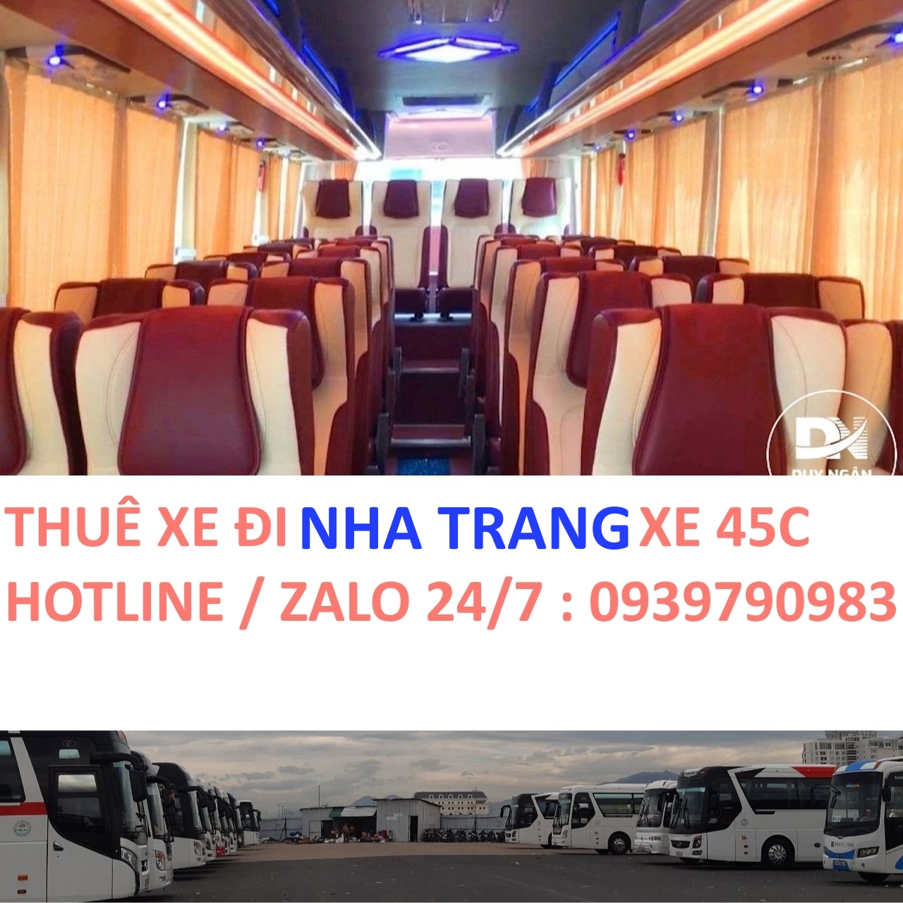 Thuê Xe Đi Nha Trang – Giá Rẻ, An Toàn, Nhiều Loại Xe [Mới Nhất]