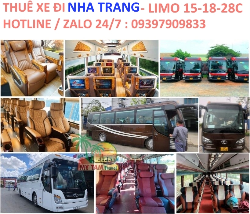 Thuê Xe Đi Nha Trang – Giá Rẻ, An Toàn, Nhiều Loại Xe [Mới Nhất]