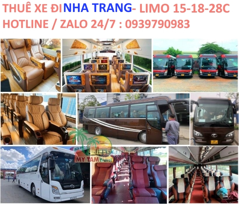 Thuê Xe Đi Nha Trang – Giá Rẻ, An Toàn, Nhiều Loại Xe [Mới Nhất]