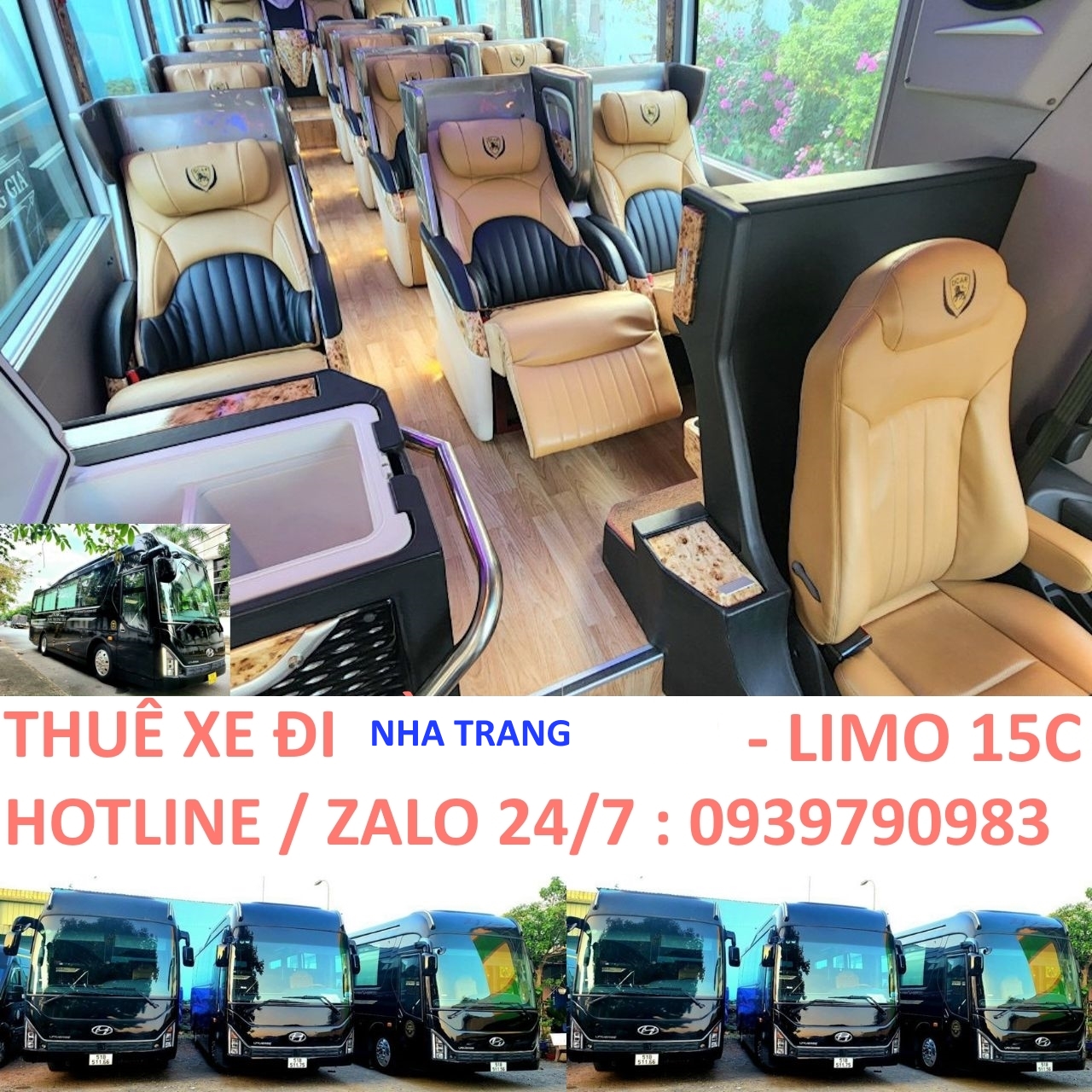 Thuê Xe Đi Nha Trang – Giá Rẻ, An Toàn, Nhiều Loại Xe [Mới Nhất]