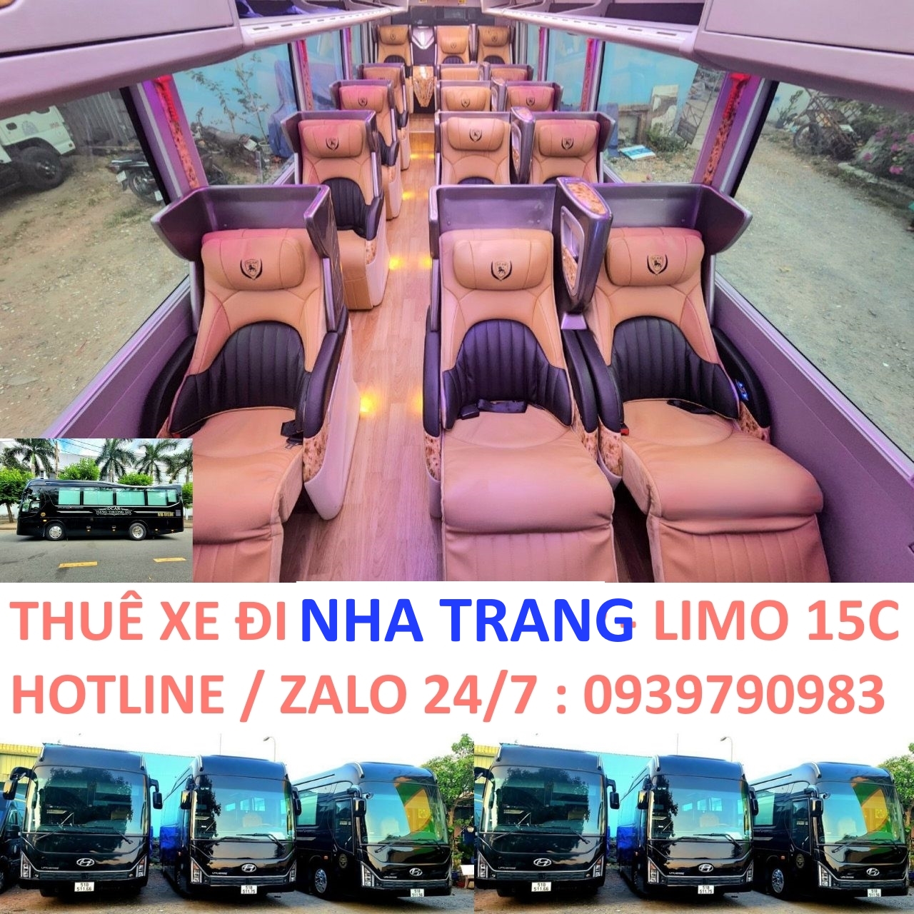 Thuê Xe Đi Nha Trang – Giá Rẻ, An Toàn, Nhiều Loại Xe [Mới Nhất]
