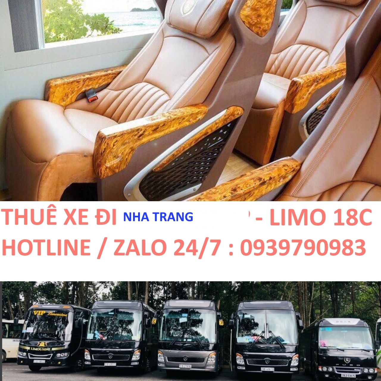 Thuê Xe Đi Nha Trang – Giá Rẻ, An Toàn, Nhiều Loại Xe [Mới Nhất]