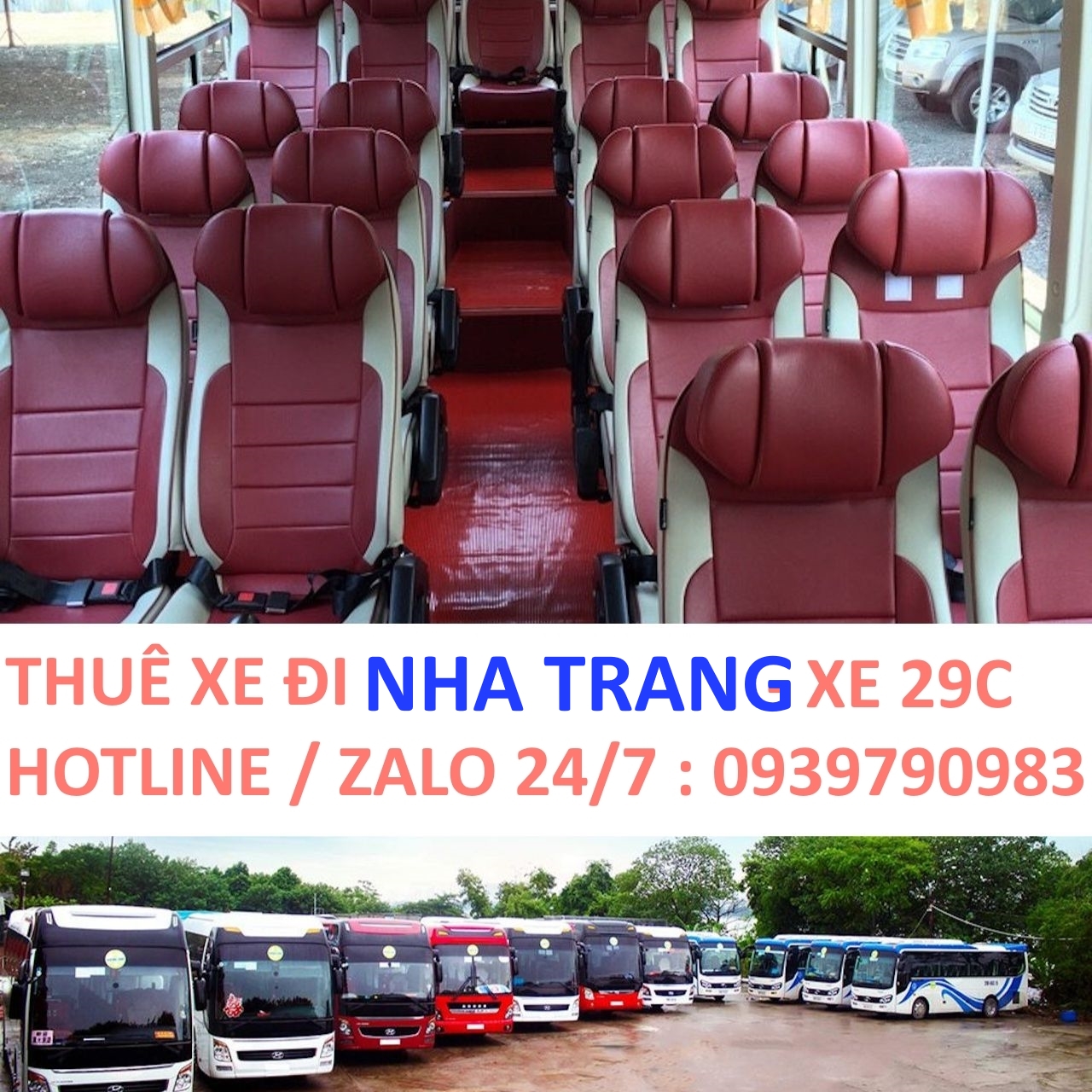 Thuê Xe Đi Nha Trang – Giá Rẻ, An Toàn, Nhiều Loại Xe [Mới Nhất]