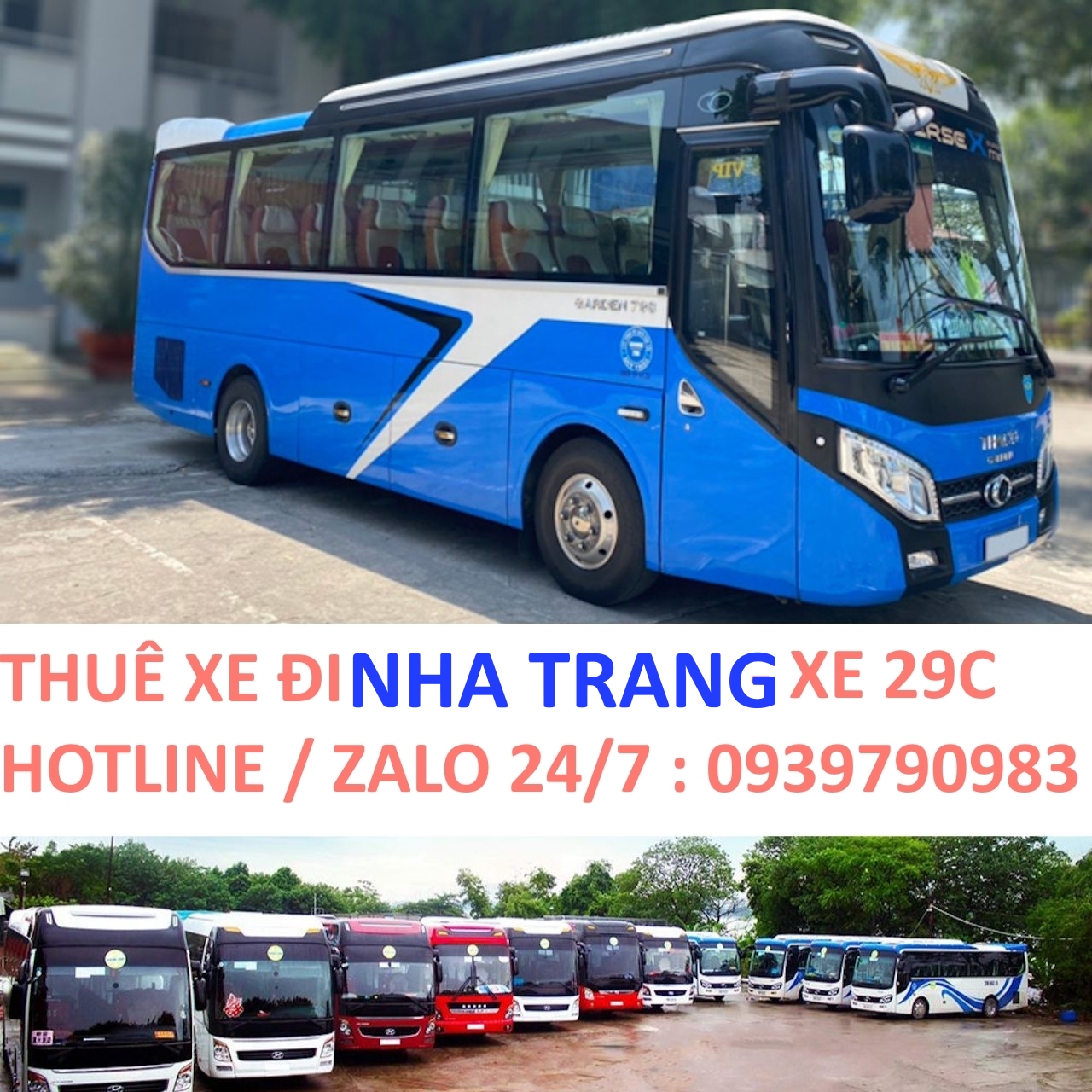 Thuê Xe Đi Nha Trang – Giá Rẻ, An Toàn, Nhiều Loại Xe [Mới Nhất]